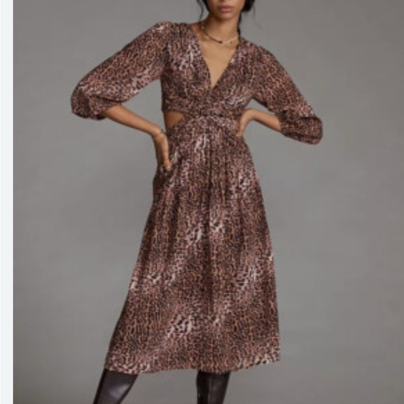Ranna Gill Dresses & Skirts - Ranna Gill Brown Animal Print Midi Dress